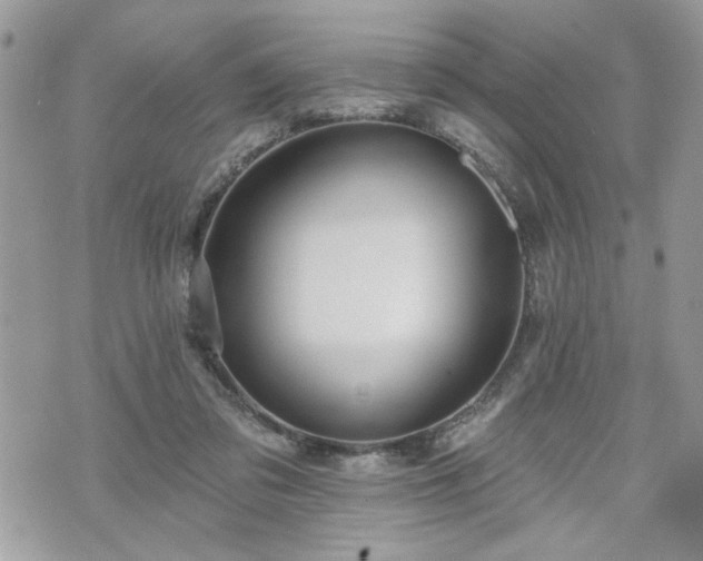 X0000070400309200606161352