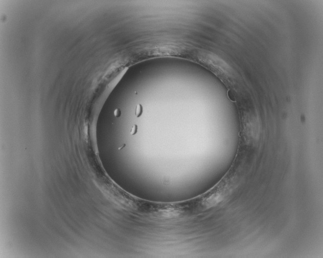 X0000070400310200606161352