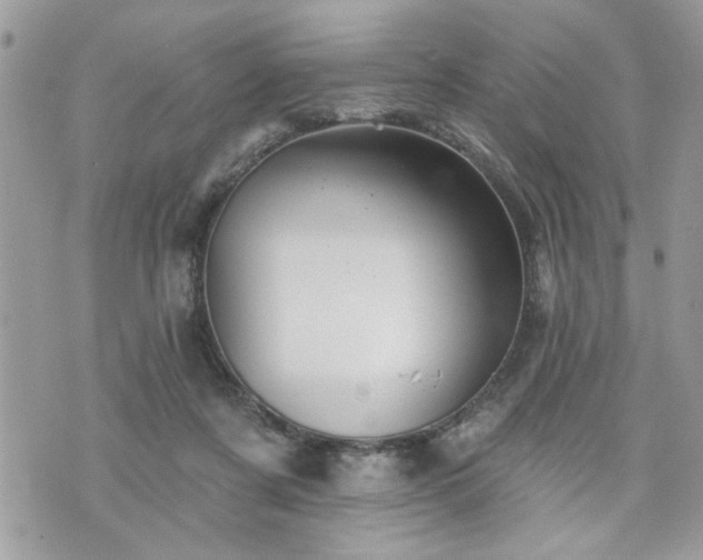 X0000070400311200606161352