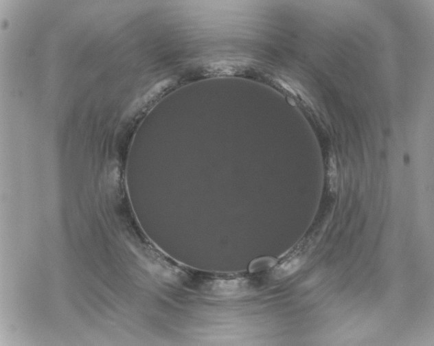 X0000070400314200606161352