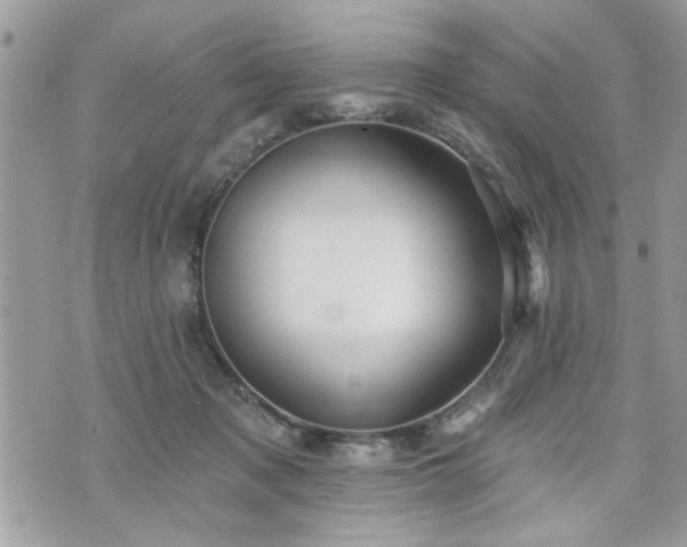 X0000070400317200606161352