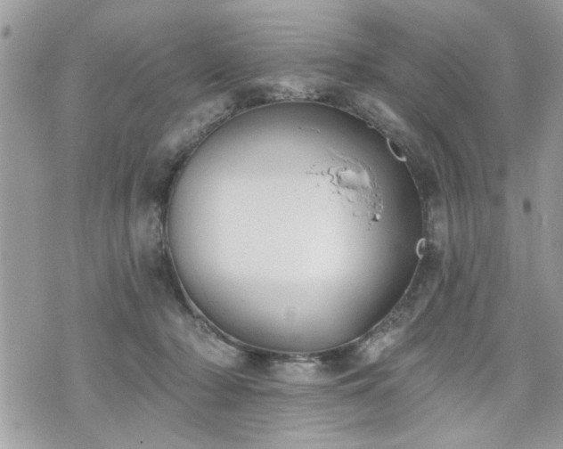 X0000070400318200606161352