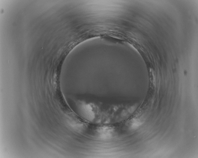 X0000070400319200606161352