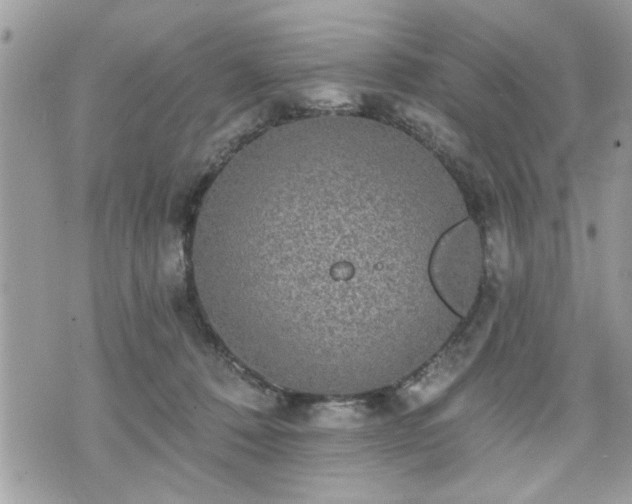 X0000070400320200606161352