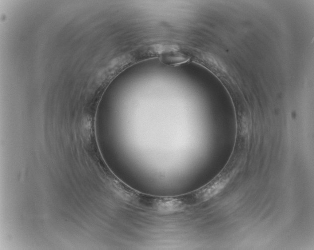 X0000070400321200606161352