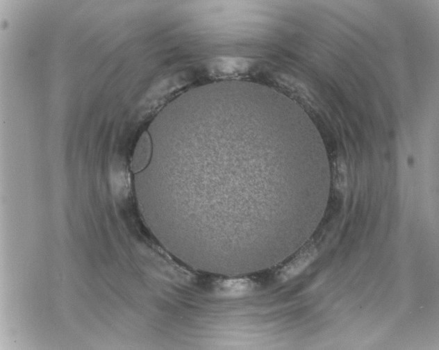 X0000070400324200606161352