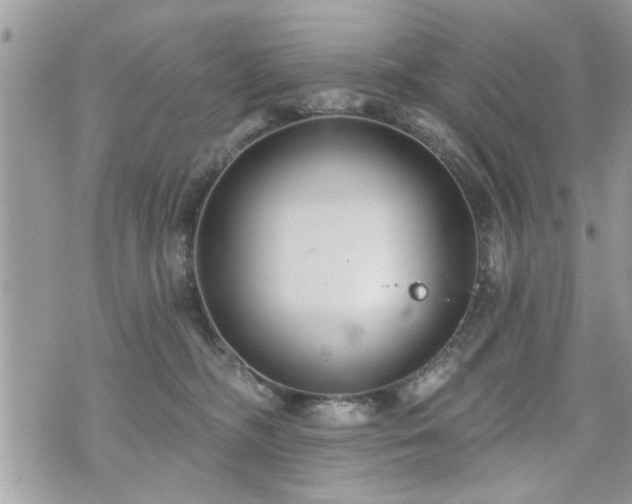 X0000070400326200606161352