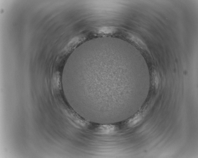 X0000070400328200606161352