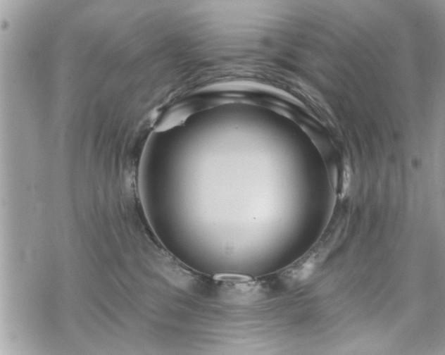 X0000070400329200606161352