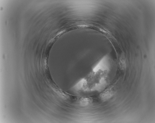 X0000070400330200606161352