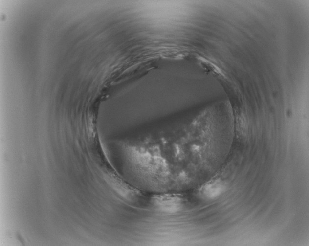 X0000070400331200606161352