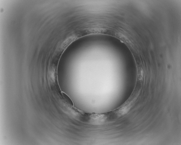 X0000070400334200606161352