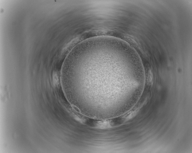 X0000070400335200606161352