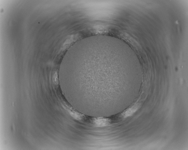 X0000070400336200606161352