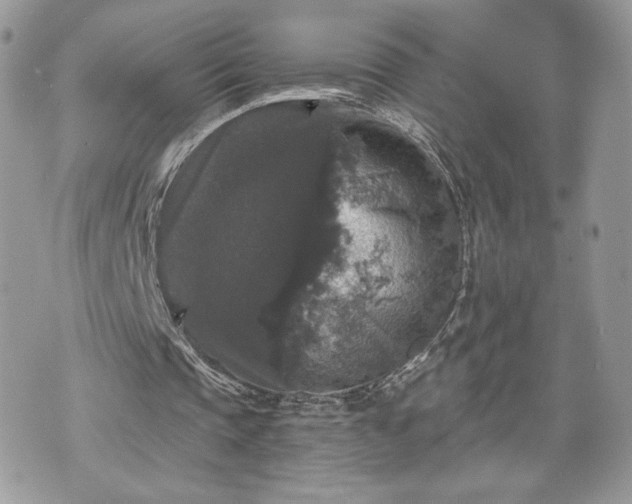 X0000070400337200606161351