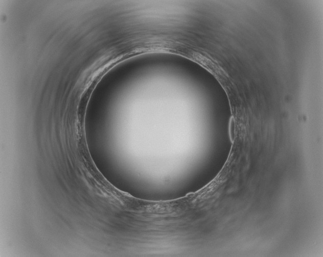 X0000070400338200606161351