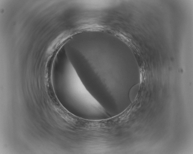 X0000070400339200606161351