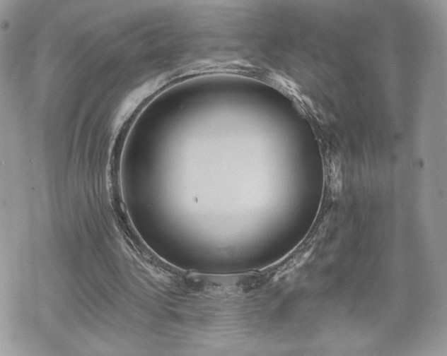 X0000070400340200606161351