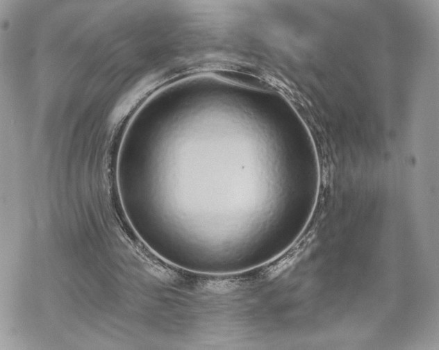 X0000070400341200606161351