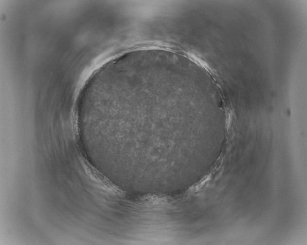 X0000070400343200606161351