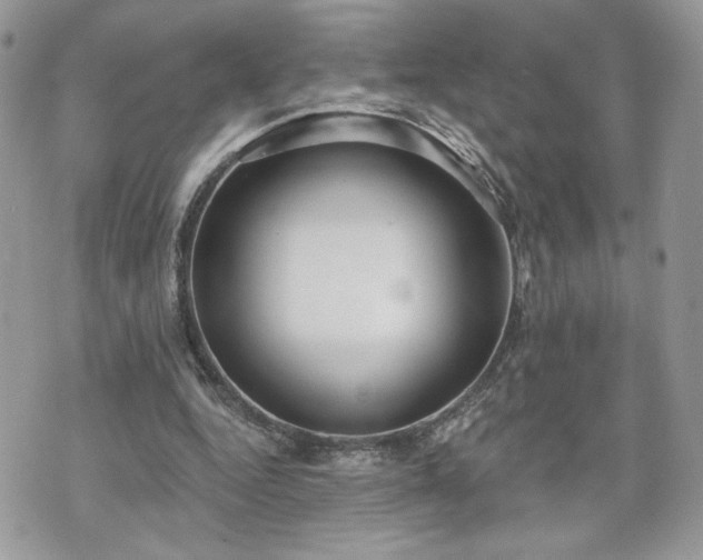 X0000070400344200606161351