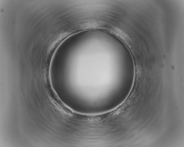 X0000070400345200606161351