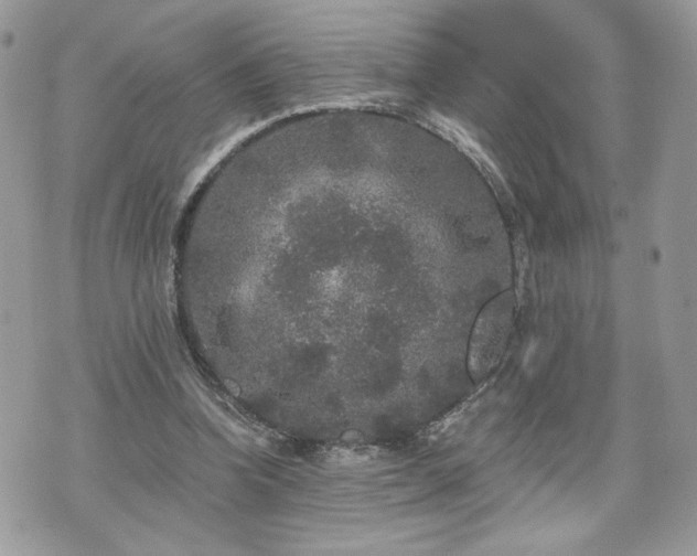 X0000070400346200606161351