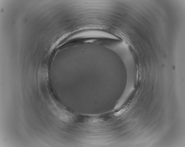 X0000070400348200606161351