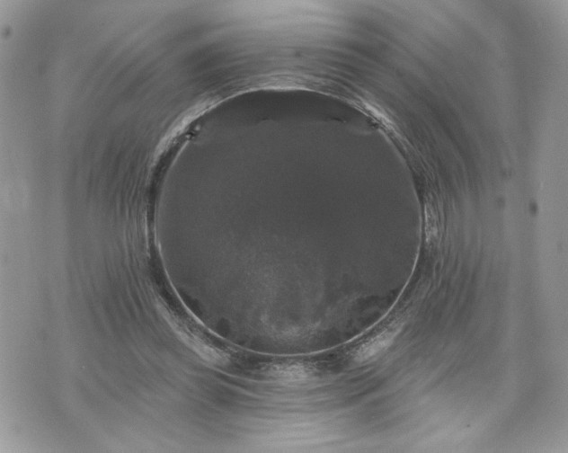 X0000070400349200606161351