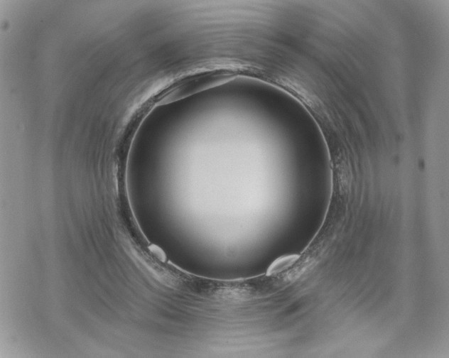 X0000070400350200606161351