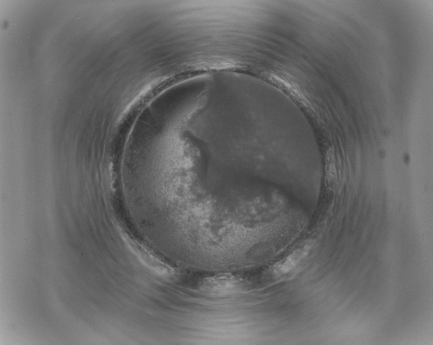 X0000070400351200606161351