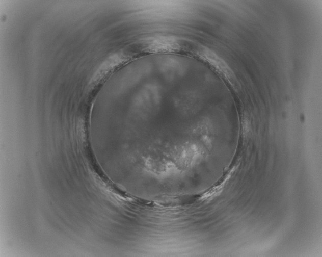 X0000070400353200606161351