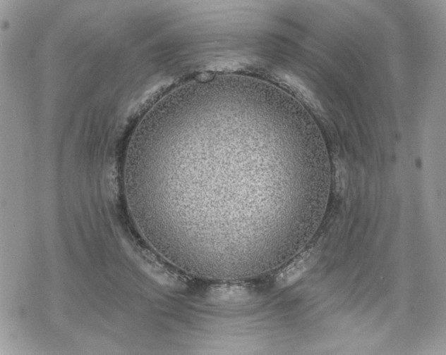 X0000070400354200606161351