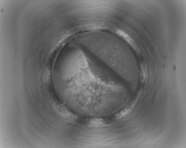 X0000070400355200606161351