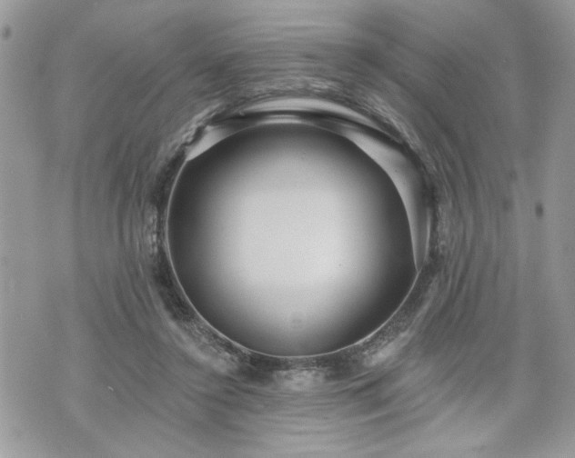 X0000070400356200606161351