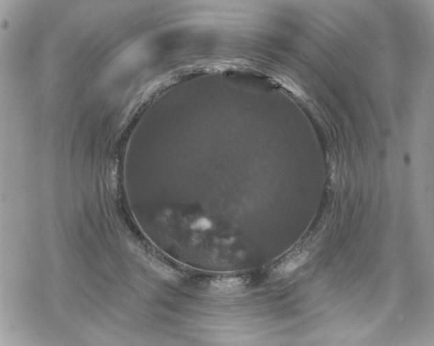 X0000070400357200606161351