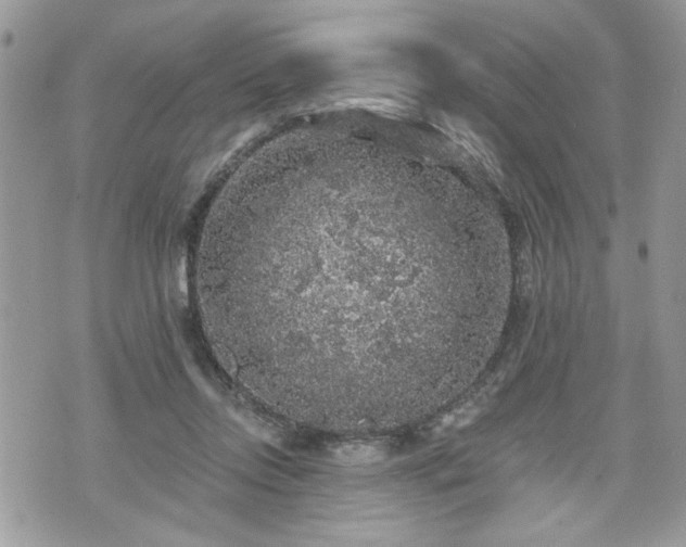 X0000070400358200606161351