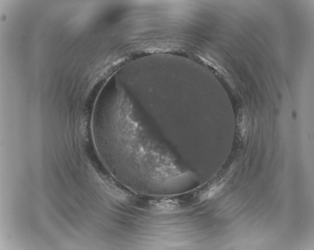 X0000070400359200606161351