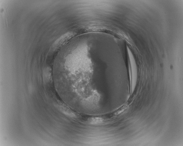 X0000070400361200606161351