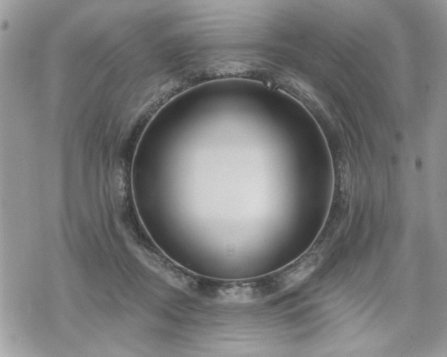 X0000070400362200606161351