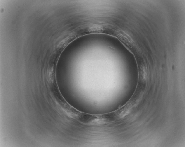 X0000070400364200606161351