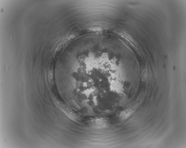 X0000070400365200606161351