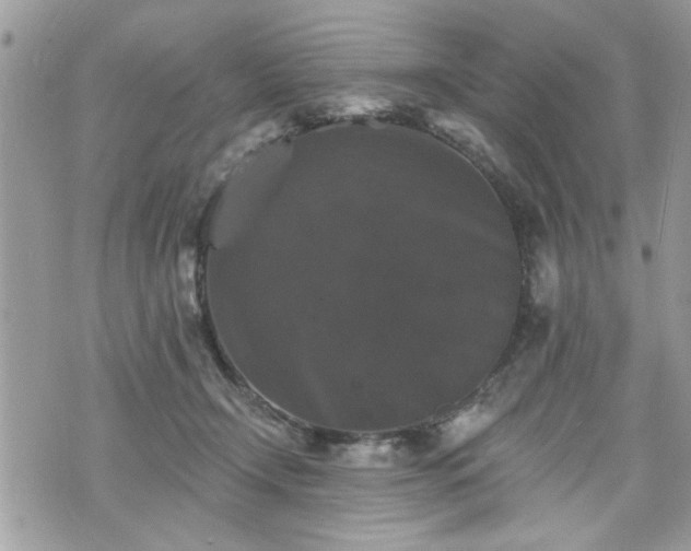 X0000070400366200606161351