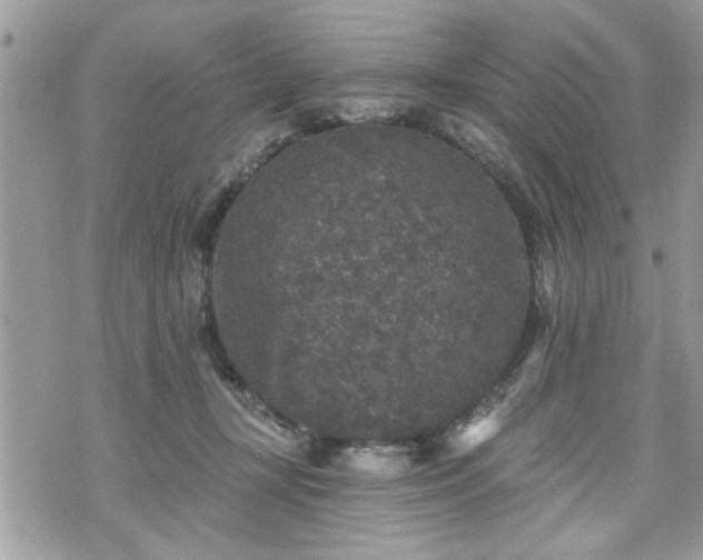 X0000070400367200606161351