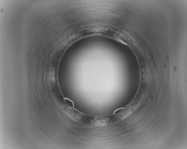 X0000070400368200606161351