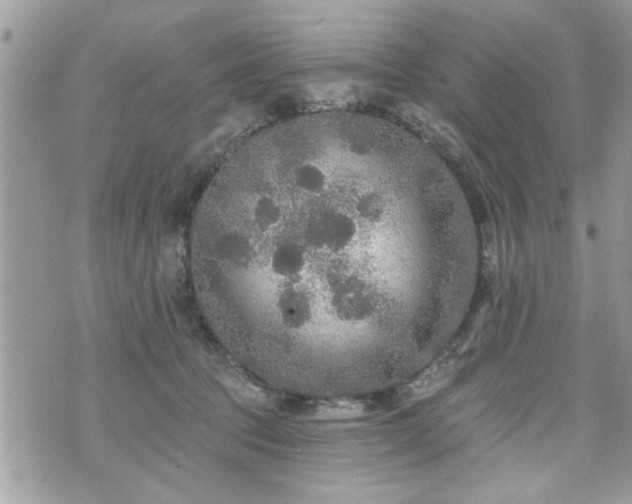 X0000070400369200606161351