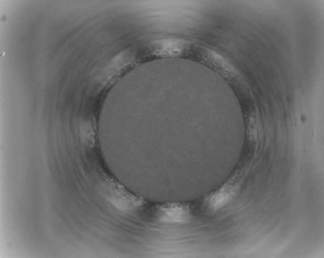 X0000070400370200606161351