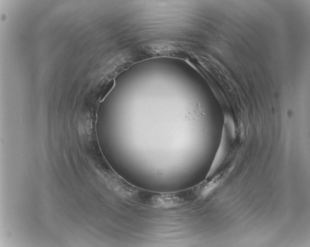 X0000070400372200606161351