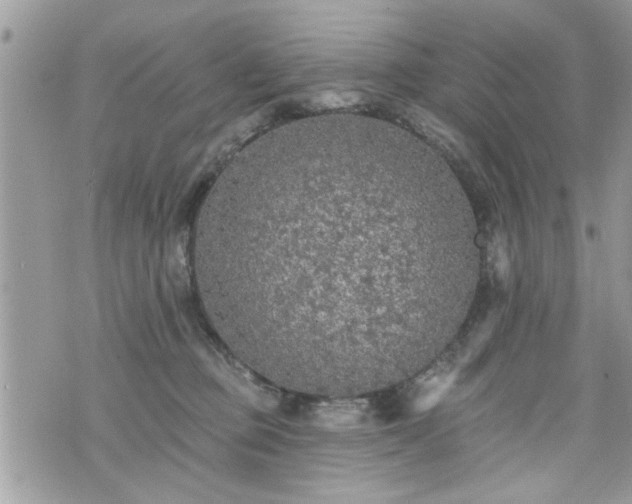 X0000070400373200606161351