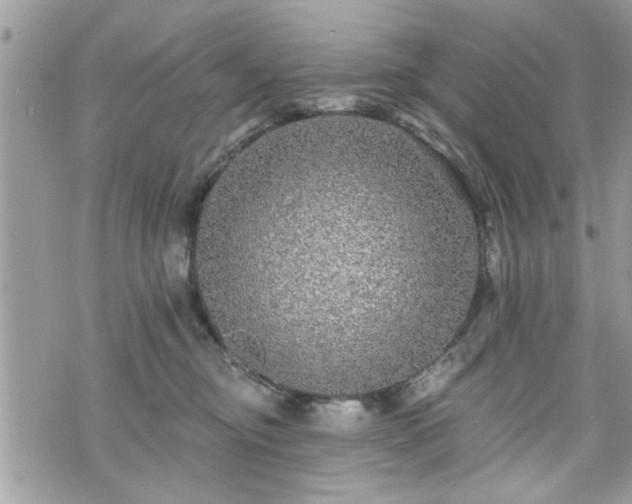 X0000070400374200606161351